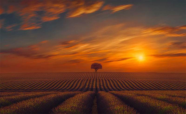 安徽企業(yè)宣傳片